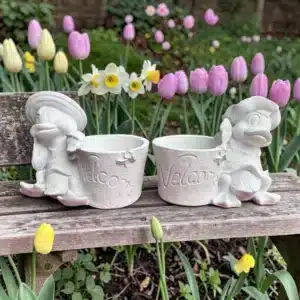 Ördek Figürlü Saksı Seti: Bahçe ve Balkonlarınıza Sevimli Bir Karşılama