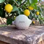 Atölye Kiraz boyanabilir limon figürü ham taş tozu obje limon ağacı dalları altında dış mekan doğal konsept