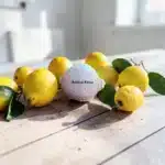 Atölye Kiraz ham taş tozu boyanabilir limon figürü mutfak masası gerçek yapraklı limonlar eşliğinde