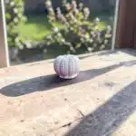 Atölye Kiraz 3 cm mini balkabağı figürü taş tozu boyanabilir obje ahşap zemin