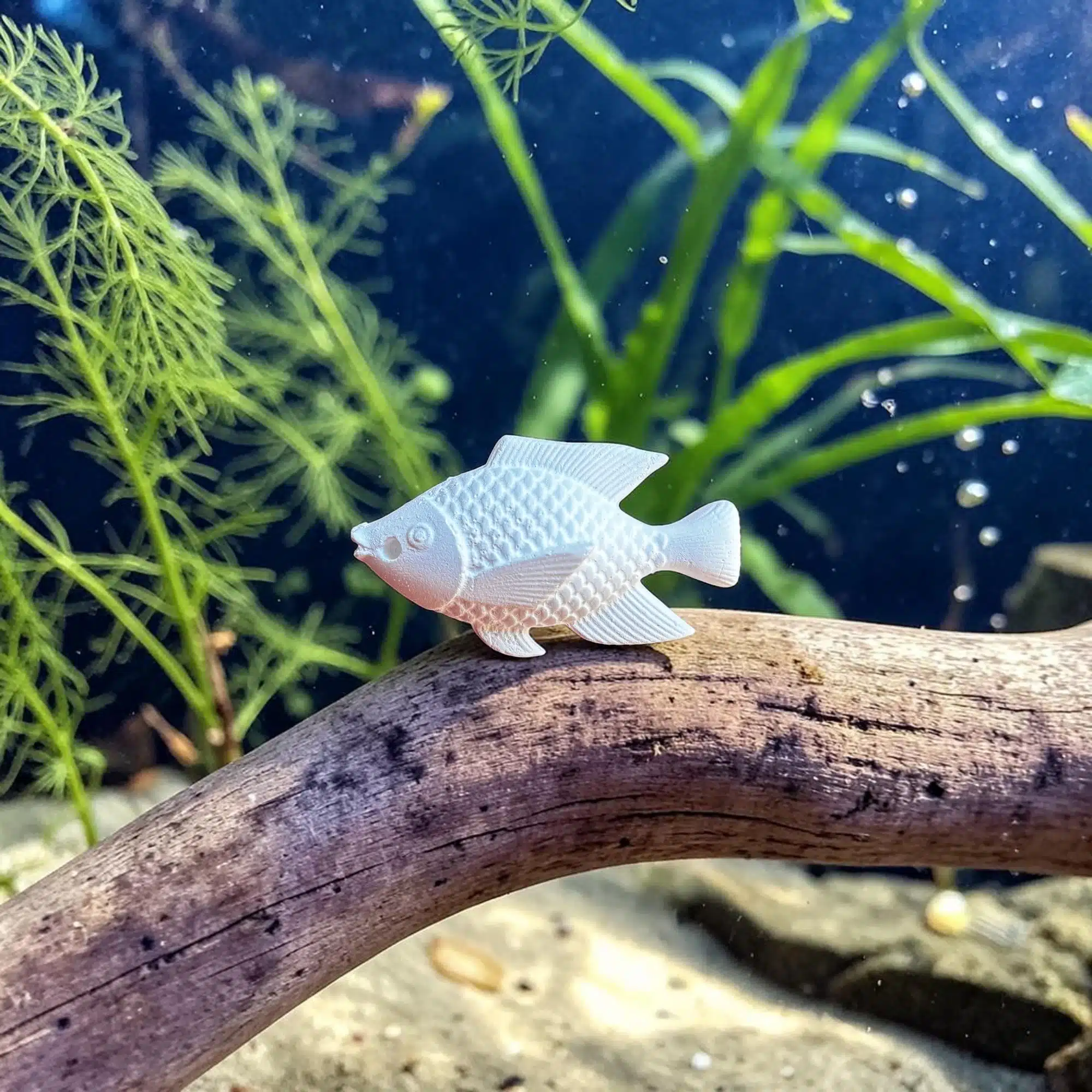 Mini Balık Figürü Akvaryum Su Altı Konsepti Taş Tozu Mini Balık Figürü Akvaryum Dekoru Su Altı Konsepti Atölye Kiraz