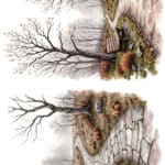 Ütü ile Rub On Transfer Kağıdı: Dekoratif Süsleme Kağıdı - CK140 | 30x50 cm