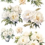 Ütü ile Rub On Transfer Kağıdı: Dekoratif Süsleme Kağıdı - CK157 | 30x50 cm