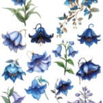 Ütü ile Rub On Transfer Kağıdı: Dekoratif Süsleme Kağıdı - CK174 | 30x50 cm