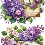 Ütü ile Rub On Transfer Kağıdı: Dekoratif Süsleme Kağıdı - CK404-İST | 30x50 cm