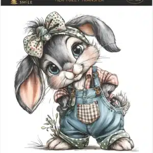 Ütü ile Rub On Transfer Kağıdı: Dekoratif Süsleme Kağıdı-HY1016-AS