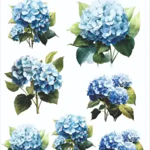 KST035-AS | Koyu Zemin Sulu Transfer Kağıdı (25x35 cm)