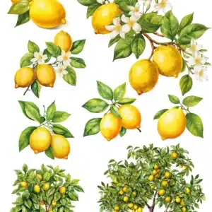 KST227 | Koyu Zemin Sulu Transfer Kağıdı-25x35 cm