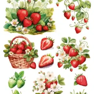 KST229 | Koyu Zemin Sulu Transfer Kağıdı (25x35 cm)