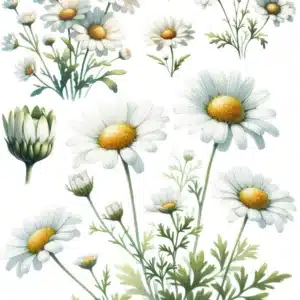 KST250 | Koyu Zemin Sulu Transfer Kağıdı-25x35 cm