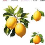 Ütü ile Rub On Transfer Kağıdı: Dekoratif Süsleme Kağıdı - KT156 | 20x20 cm