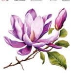 Ütü ile Rub On Transfer Kağıdı: Dekoratif Süsleme Kağıdı - KT168 | 20x20 cm