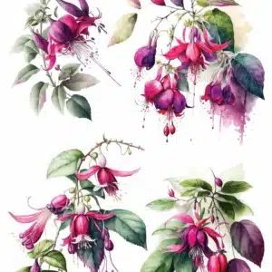 LNT-115 | Sulu Transfer Kağıdı (25x35 cm)