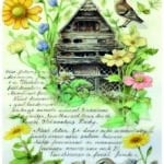 Pirinç Dekopaj Kağıdı-29x42 cm-PT187