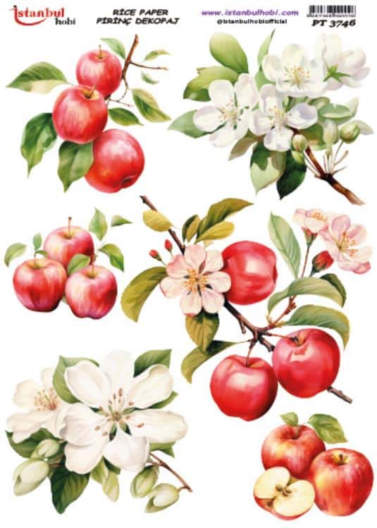 Pirinç Dekopaj Kağıdı-29x42 cm-PT3746 1 Pirinç Dekopaj Kağıdı-29X42 Cm-Pt3746