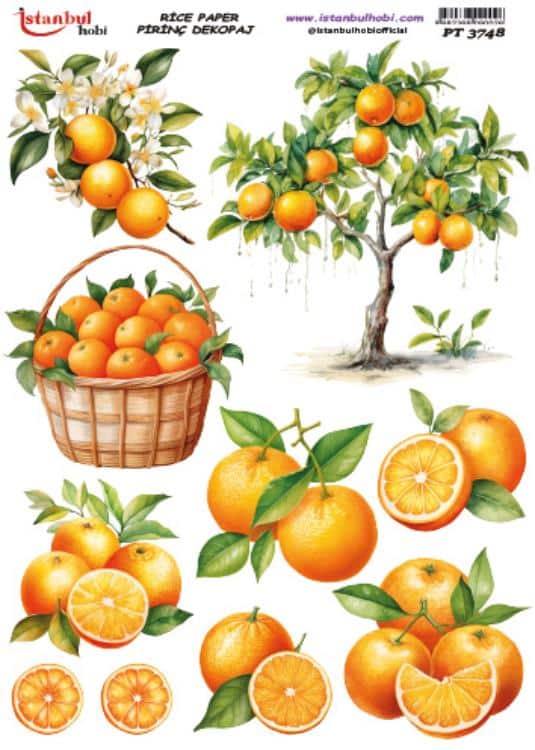 Pirinç Dekopaj Kağıdı-29x42 cm-PT3748 1 Pirinç Dekopaj Kağıdı-29X42 Cm-Pt3748