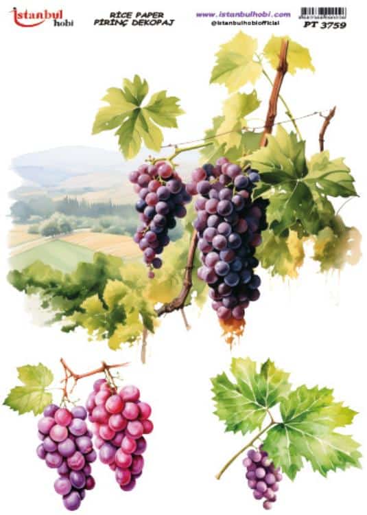 Pirinç Dekopaj Kağıdı-29x42 cm-PT3759 1 Pirinç Dekopaj Kağıdı-29X42 Cm-Pt3759