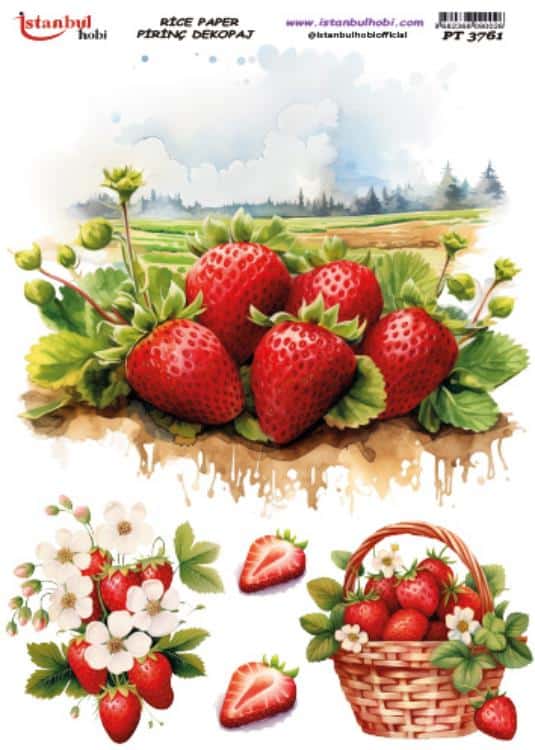 Pirinç Dekopaj Kağıdı-29x42 cm-PT3761 1 Pirinç Dekopaj Kağıdı-29X42 Cm-Pt3761