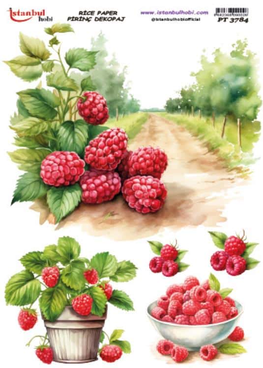 Pirinç Dekopaj Kağıdı-29x42 cm-PT3784 1 Pirinç Dekopaj Kağıdı-29X42 Cm-Pt3784