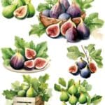 Pirinç Dekopaj Kağıdı-29x42 cm-PT3794