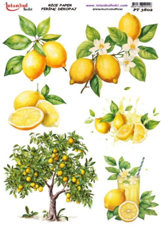 Pirinç Dekopaj Kağıdı-29x42 cm-PT3802 1 Pirinç Dekopaj Kağıdı-29X42 Cm-Pt3802