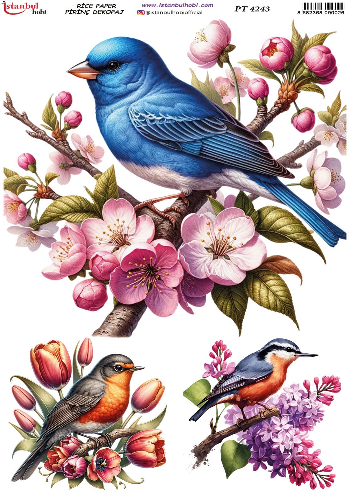 Pirinç Dekopaj Kağıdı-29x42 cm-PT4243 1 Pirinç Dekopaj Kağıdı-29X42 Cm-Pt4243