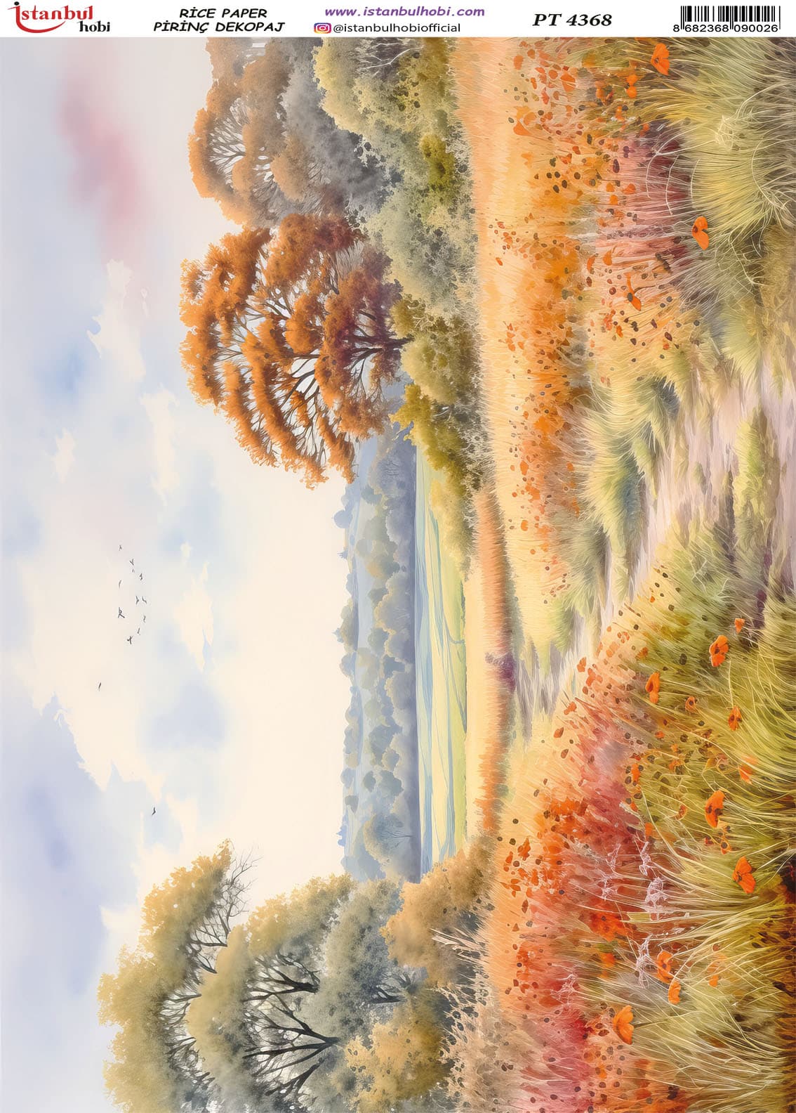 Pirinç Dekopaj Kağıdı-29x42 cm-PT4368 1 Pirinç Dekopaj Kağıdı-29X42 Cm-Pt4368