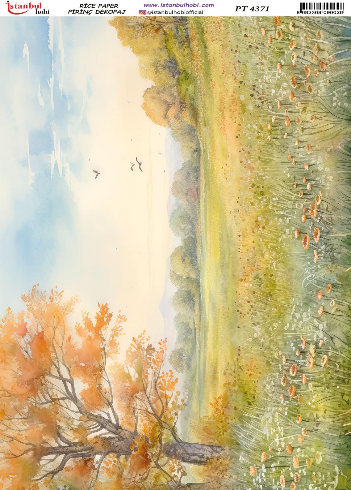 Pirinç Dekopaj Kağıdı-29x42 cm-PT4371 1 Pirinç Dekopaj Kağıdı-29X42 Cm-Pt4371