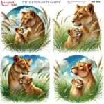 Ütü ile Rub On Transfer Kağıdı: Dekoratif Süsleme Kağıdı - RB590-İST | 30x30 cm