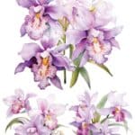 RB007-MH | Rub-On Transfer Kağıdı | 24x35,5 cm