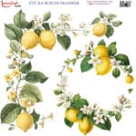 Ütü ile Rub On Transfer Kağıdı: Dekoratif Süsleme Kağıdı - RB323 | 30x30 cm
