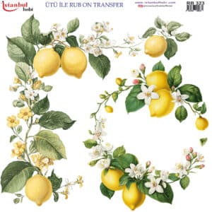Ütü Ile Rub On Transfer Kağıdı: Dekoratif Süsleme Kağıdı - Rb323 | 30X30 Cm