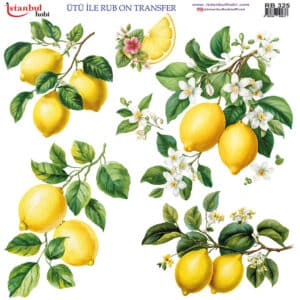 Ütü Ile Rub On Transfer Kağıdı: Dekoratif Süsleme Kağıdı - Rb325 | 30X30 Cm