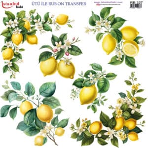 Ütü Ile Rub On Transfer Kağıdı: Dekoratif Süsleme Kağıdı - Rb327 | 30X30 Cm
