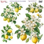 Ütü ile Rub On Transfer Kağıdı: Dekoratif Süsleme Kağıdı - RB328 | 30x30 cm