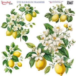 Ütü Ile Rub On Transfer Kağıdı: Dekoratif Süsleme Kağıdı - Rb328 | 30X30 Cm