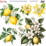 Ütü ile Rub On Transfer Kağıdı: Dekoratif Süsleme Kağıdı - RB329 | 30x30 cm