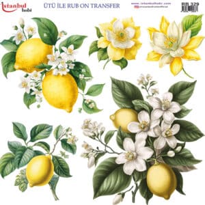 Ütü Ile Rub On Transfer Kağıdı: Dekoratif Süsleme Kağıdı - Rb329 | 30X30 Cm