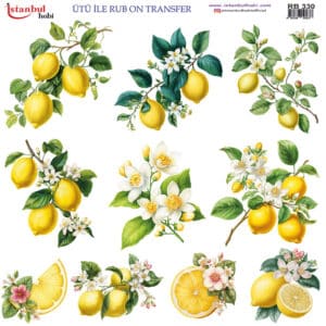 Ütü Ile Rub On Transfer Kağıdı: Dekoratif Süsleme Kağıdı - Rb330 | 30X30 Cm