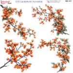 Ütü ile Rub On Transfer Kağıdı: Dekoratif Süsleme Kağıdı - RB417 | 30x30 cm