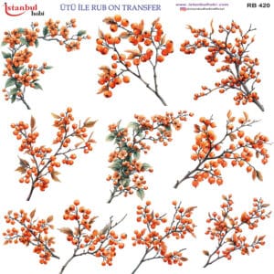 Ütü Ile Rub On Transfer Kağıdı: Dekoratif Süsleme Kağıdı - Rb420 | 30X30 Cm