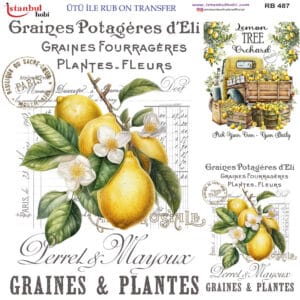 Ütü Ile Rub On Transfer Kağıdı: Dekoratif Süsleme Kağıdı - Rb487 | 30X30 Cm