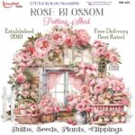 Ütü ile Rub On Transfer Kağıdı: Dekoratif Süsleme Kağıdı - RB491 | 30x30 cm
