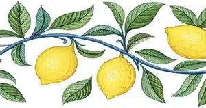 Ütü ile Bordür Rub On Transfer Kağıdı: Dekoratif Kenar Süsleme Kağıdı - RK147 | 150 cm