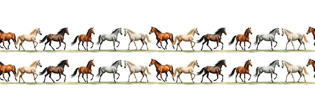 Ütü ile Bordür Rub On Transfer Kağıdı: Dekoratif Kenar Süsleme Kağıdı - RK202-İST | 150 cm 1 Ütü Ile Bordür Rub On Transfer Kağıdı: Dekoratif Kenar Süsleme Kağıdı - Rk202-İst | 150 Cm