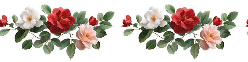 Ütü ile Bordür Rub On Transfer Kağıdı: Dekoratif Kenar Süsleme Kağıdı - RK207-İST | 150 cm 1 Ütü Ile Bordür Rub On Transfer Kağıdı: Dekoratif Kenar Süsleme Kağıdı - Rk207-İst | 150 Cm