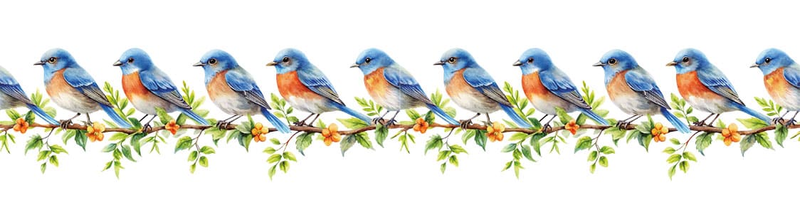 Ütü ile Bordür Rub On Transfer Kağıdı: Dekoratif Kenar Süsleme Kağıdı - RK245-İST | 150 cm 1 Ütü Ile Bordür Rub On Transfer Kağıdı: Dekoratif Kenar Süsleme Kağıdı - Rk245-İst | 150 Cm