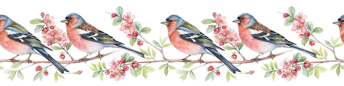 Ütü ile Bordür Rub On Transfer Kağıdı: Dekoratif Kenar Süsleme Kağıdı - RK246-İST | 150 cm 1 Ütü Ile Bordür Rub On Transfer Kağıdı: Dekoratif Kenar Süsleme Kağıdı - Rk246-İst | 150 Cm