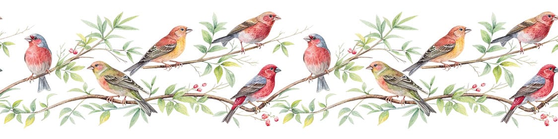 Ütü ile Bordür Rub On Transfer Kağıdı: Dekoratif Kenar Süsleme Kağıdı - RK249-İST | 150 cm 1 Ütü Ile Bordür Rub On Transfer Kağıdı: Dekoratif Kenar Süsleme Kağıdı - Rk249-İst | 150 Cm