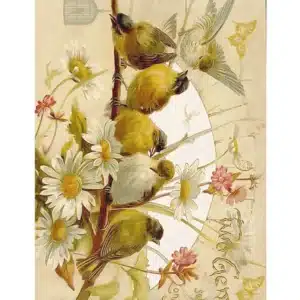 ST174-MH | Sulu Transfer Kağıdı-25x35 cm